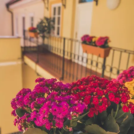 Hotel Boutique Constans